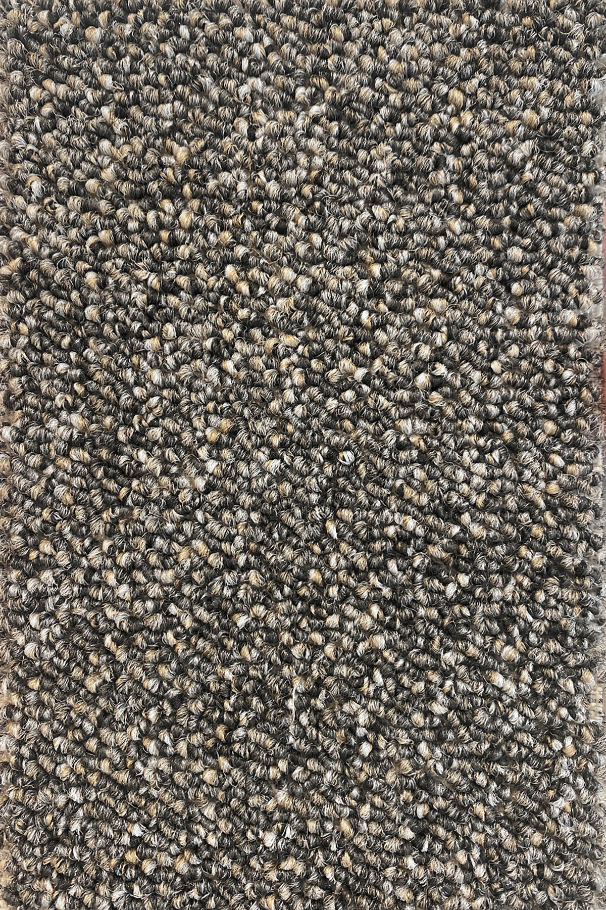 Ковровое покрытие "Bonkeel" Nero 97 (ширина 4м) — купить в Сарове