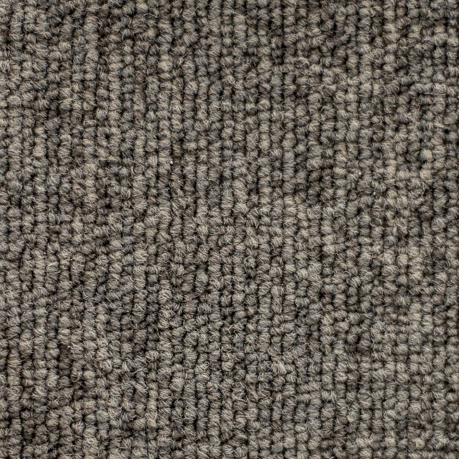 Ковролин "Зартекс" Daily 68 коричневый (4м) — купить в Сарове