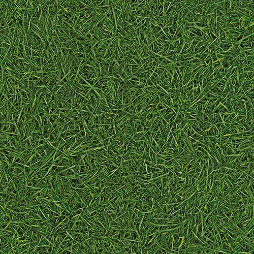 Линолеум бытовой "IVC" Bingo Grass 25 (3м) — купить в Сарове
