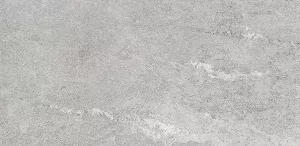 Керамогранит Конжак (Kondjak) 300*600 матовый элегант G261MR — купить в Сарове