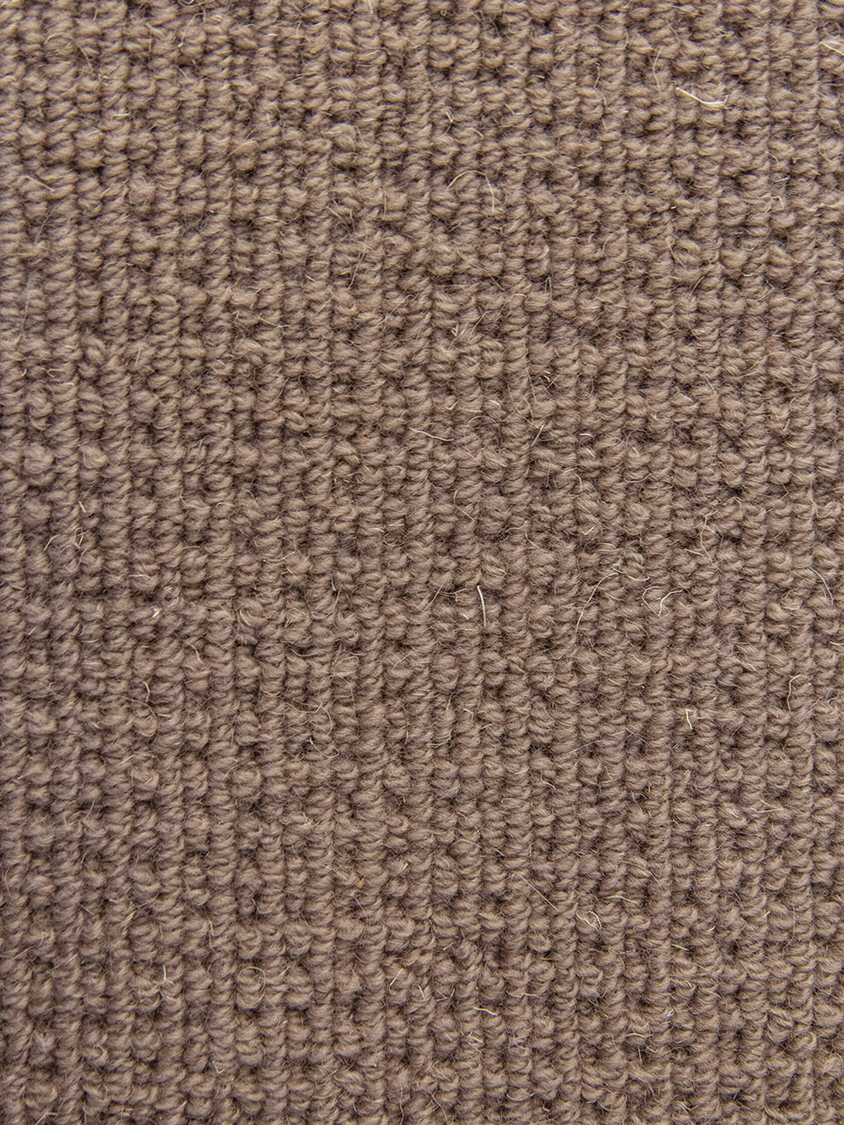 Ковровое покрытие "Bonkeel" Welfare Brown (ширина 4м) — купить в Сарове