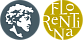 Florentina